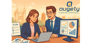 EXPERT COMPTABLE POUR CONSULTANTS